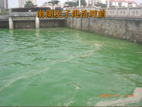 岳陽南湖水域污染藍(lán)藻爆發(fā)治理項(xiàng)目